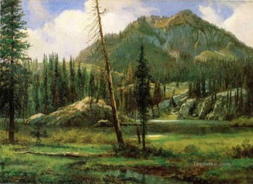 mountains Painting - Sierra Nevada Mountains Albert Bierstadt